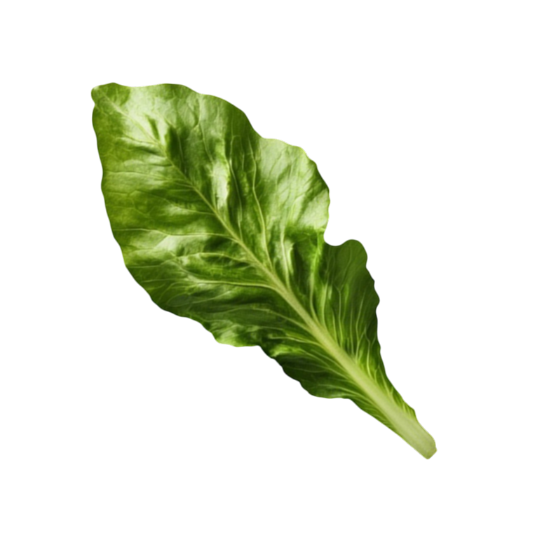 Mãos ao alto | Clínica Anestro Anestesiologia e Clínica da Dor